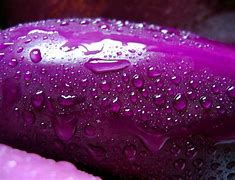 Image result for iPhone 17 iOS Eggplant