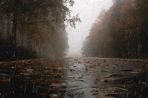 Image result for Rain GIF 1080P