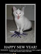 Image result for Funny Happy New Year's