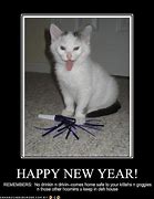 Image result for Happy Jumping Cat Meme