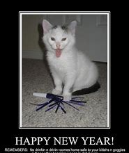 Image result for Funny New Year Pictures