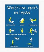 Image result for Professional Wrestling Aerial Techniques