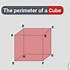 Image result for Find the Perimeter of a Square Cm