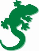 Image result for Gecko