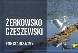 Image result for co_to_za_Żerkowsko czeszewski_park_krajobrazowy