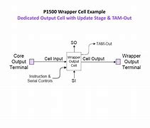 Image result for P1500 Wrapper Cells