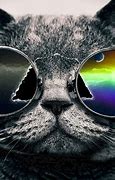 Image result for Cool Cat Live Wallpaper