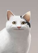 Image result for Polite Cat Meme Wallpaper