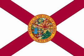 Image result for Florida's State Flag