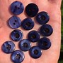 Image result for Coned Half Round Old Gold Buttons