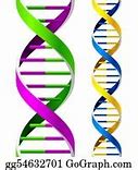 Image result for Droid DNA