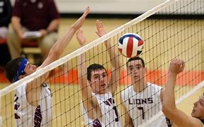 Image result for Official High School Volleyball Ball