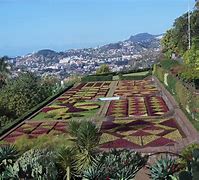 Image result for Visit Madeira