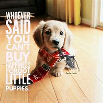 Image result for Chillin Puppiesquotes