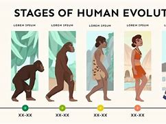 Image result for Evolution Timeline for Kids