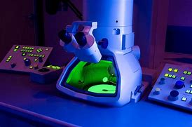 Image result for A Scanning Electron Microscope