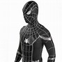 Image result for Spiderman Costumes