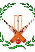 Image result for Cricket Bat Cartoon Png