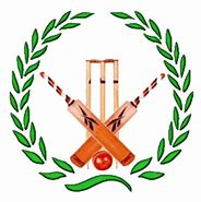 Image result for Cricket Field PNG