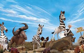 Image result for Stripes Zebra Movie
