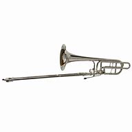 Image result for Double Trombone Case