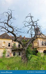 Image result for Cacak Serbia Abandoned Places