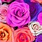 Image result for Flower iPad Wallpaper