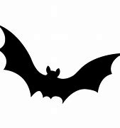 Image result for White Bat Cartoion