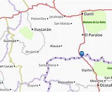 Image result for alauca