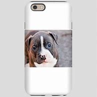 Image result for Pitbull iPhone 6 Cases