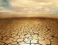 Image result for Cracked Desert