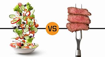 Image result for Vegan vs Omnivore