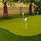 Image result for Golf Putting Green Backyard Landscape