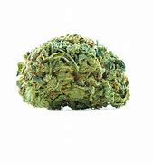Image result for Size AA Buds