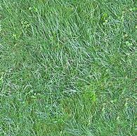 Image result for Seamless Grass Faded Texture