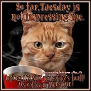 Image result for Tuesday Coffee Funny