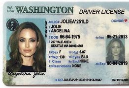 Image result for Us Driver License