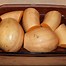 Image result for Crookneck Pumpkin