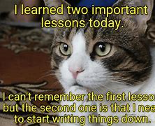 Image result for Forgetful Cat Meme