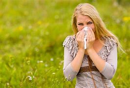 Image result for Hay Fever Sneezing
