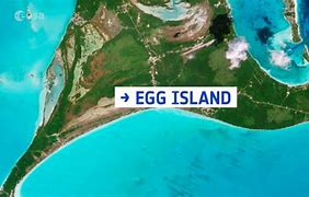 Image result for Egg Island Bahamas