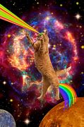 Image result for Universe Cat