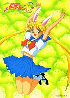 Image result for Sailor Moon Bunny Suit