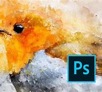 Image result for Watercolor Filter Photoshop