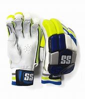 Image result for SS Cricket Gear