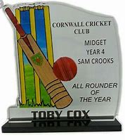 Image result for Cricket Trophies Acrylic