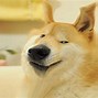 Image result for Two Dogs Meme Generator