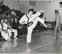 Image result for Old Martial Arts Master