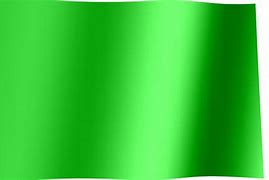 Image result for Green Signal Flags
