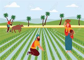 Image result for Indian Farmer Cartoon